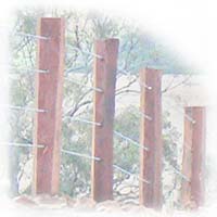 Rural Fencing training